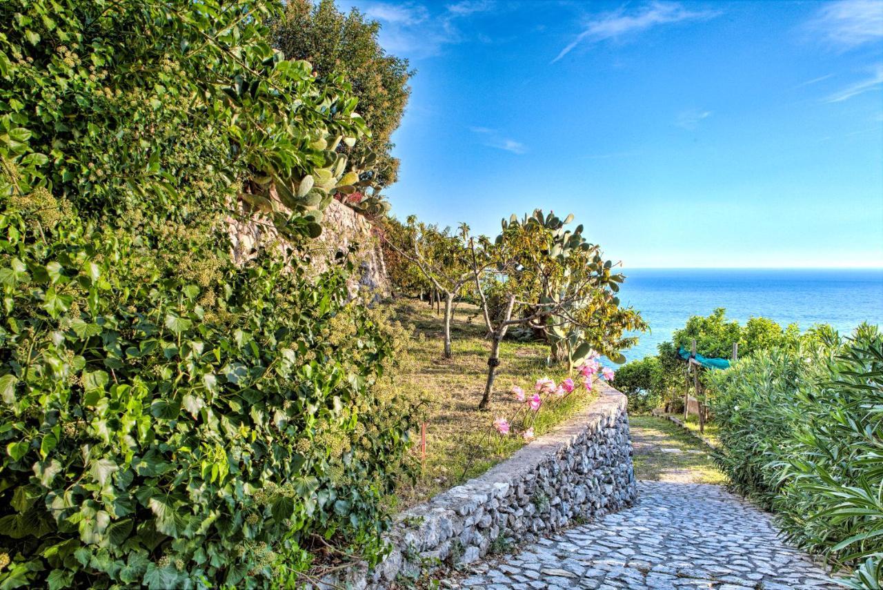 Villa Ad Maiori Exterior photo